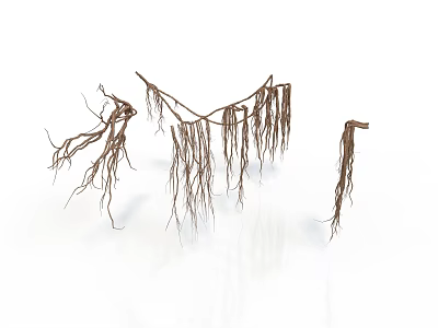 Elegant Modern Interior Decor With Decorative Branches And Long Hanging Roots 3d model