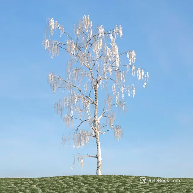 Beautiful Tall Arbor Covered With Shiny Icicles Against Clear Blue Sky 3d model 