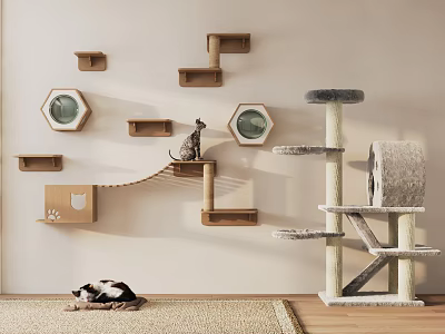 Stylish Cat Furniture Setup With Wall Mounted Shelves And Cat Tree 3d model