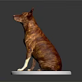 Detailed Brown and White Dog Sitting on White Base Against Gray Background