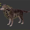 3D Rendered Wolf Standing Pose With Unique Fur Pattern Red Black Accents On Dark Background