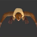 3D Rendered Monkey Model in Standing Pose With Vest Like Clothing on White Background