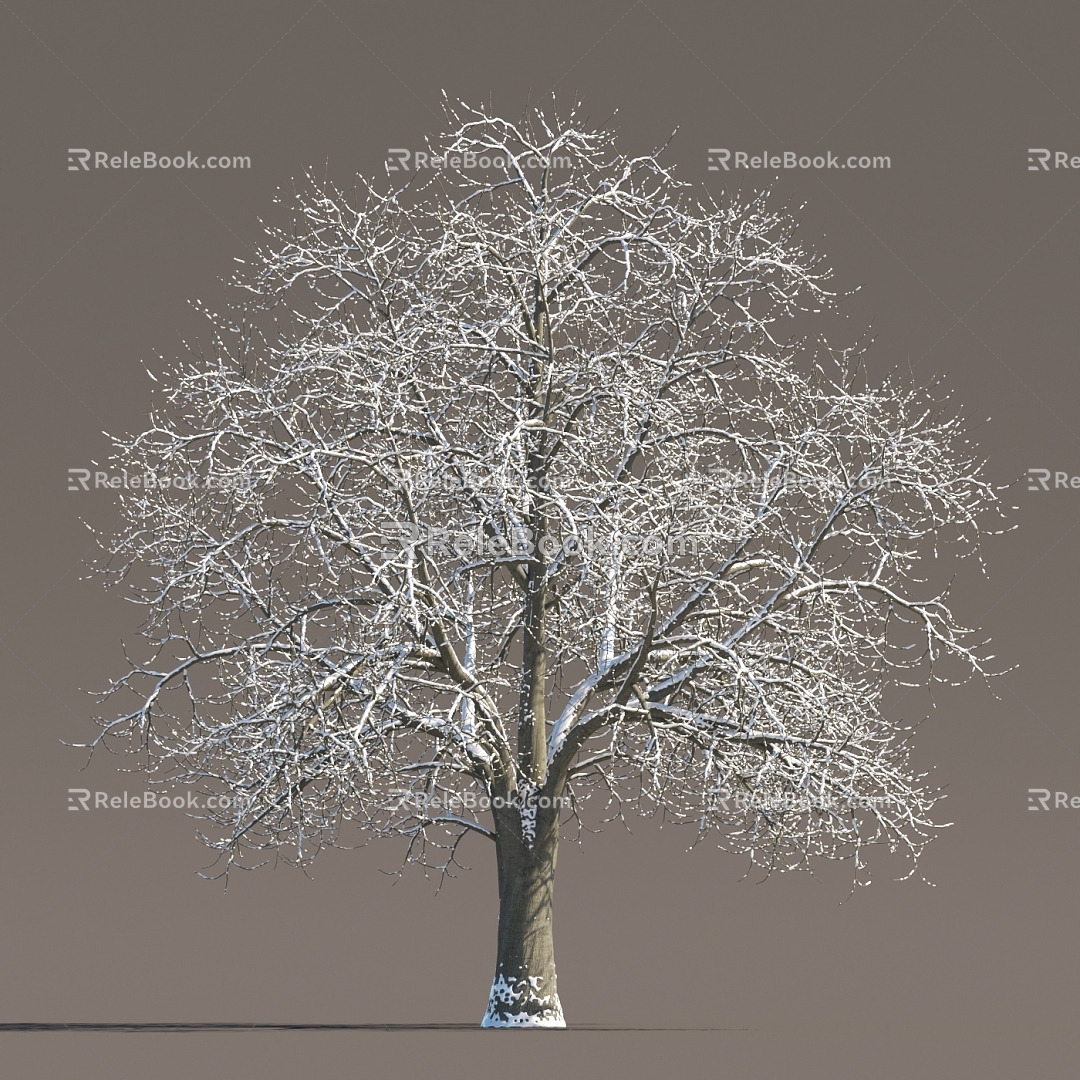 Winter Snow Trees Snow Trees Snow Plants Landscape Trees Snow Trees Snow Trees Snow Trees Winter Trees Trees model