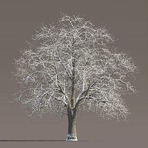 Winter Snow Trees Snow Trees Snow Plants Landscape Trees Snow Trees Snow Trees Snow Trees Winter Trees 3d model