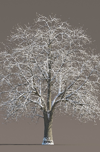 Winter Snow Trees Snow Trees Snow Plants Landscape Trees Snow Trees Snow Trees Snow Trees Winter Trees 3d model