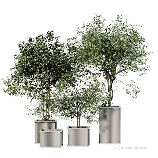 Lush Green Trees in Square Planters of Different Heights for Modern Decor 3d model 