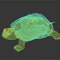 Turtle With Orange And Brown Patterned Shell Striped Head And Limbs 3D Rendered 3d model