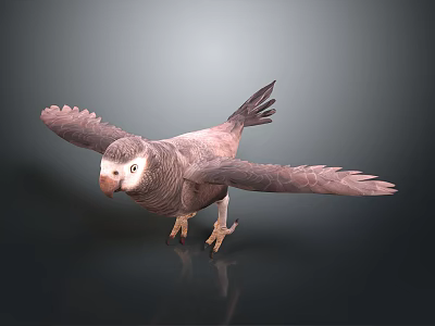 Parrot with Spread Wings on Grey Gradient Background and Reflective Ground 3d model