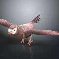 Parrot with Spread Wings on Grey Gradient Background and Reflective Ground