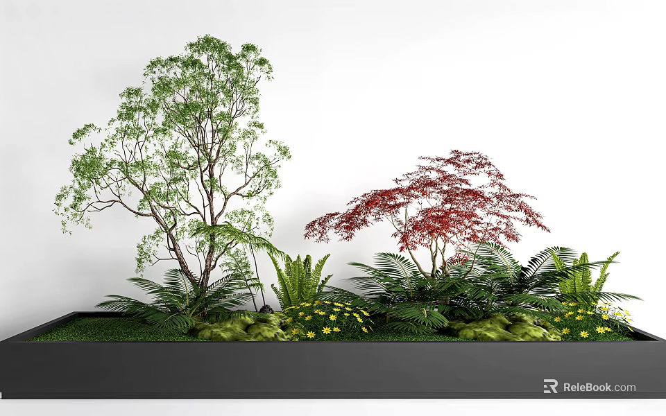 Green and Red Foliage Trees With Ferns Yellow Flowers In Planter Bed Against White Wall 3d model 