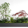 Green and Red Foliage Trees With Ferns Yellow Flowers In Planter Bed Against White Wall