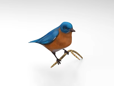 Vibrant Blue Bird With Orange Underparts Perched On A Small Twig Branch 3d model