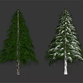 Two Pine Trees One Green and One Snow Covered in Natural Scene 3d model