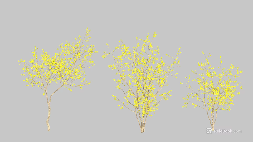 Yellow Flowering Trees With Lush Branches And Vibrant Spring Foliage 3d model 