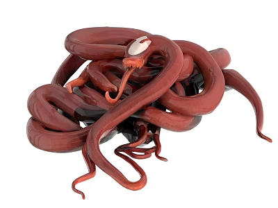 Abstract 3D Model Of Red Tangled Tentacles With Central Eye And Black Parts 3d model