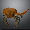 Vibrant Orange Crab With Green And Red Legs On Dark Background