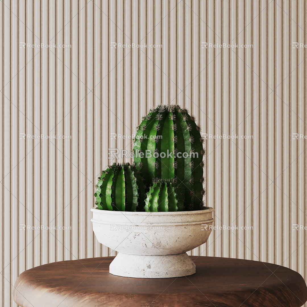 Modern Potted Plant 3d model