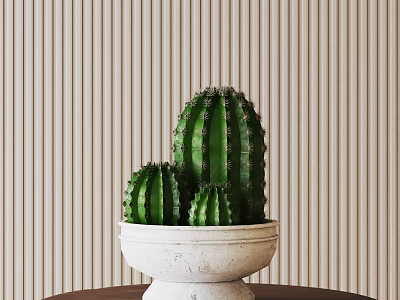Three Green Cactus Succulents in White Ceramic Pot on Brown Wooden Table with Striped Wall 3d model