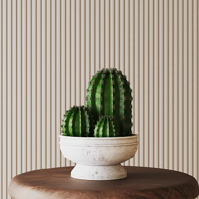 Three Green Cactus Succulents in White Ceramic Pot on Brown Wooden Table with Striped Wall 3d model