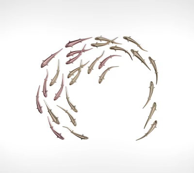 Circular Wall Decor With Pink And Brown Fish Shaped Decorations For Home 3d model