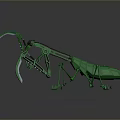 Green 3D Mechanical Mantis Robot Model With Sharp Claws And Detailed Structure
