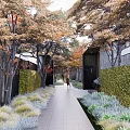 Serene Garden Landscape Design With Lush Trees Trimmed Hedges Stone Pathways and Seating