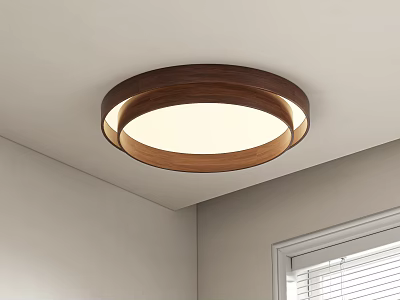 Modern Middle Aged Ceiling Lamp 3d model