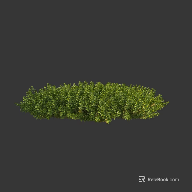 Lush Green Flowering Shrubs With Dense Foliage And Vibrant Fresh Leaves 3d model 