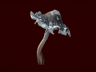 Grayish White Mushroom With Dark Spots Wavy Edge And Brown Stem On Deep Red Background 3d model
