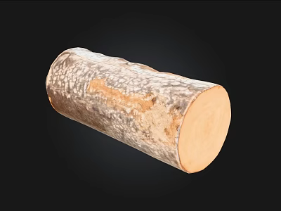Natural Wooden Log Featuring Natural Bark Texture and Round Cross Section on Black Background 3d model