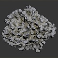 Modern Coral Red Coral White Coral Blue Coral 3d model