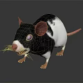 3D Rat Character And Creature Design With Large Ears Pink Nose And Rendered Details