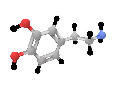 Organ And Hair Related 3D Molecular Structure Model With Atom Parts 3d model