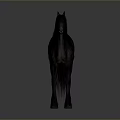 Black Horse With Long Mane And Tail Standing On Gray Background