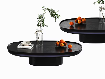 Modern Black Round Coffee Table With Green Plant Vase Oranges Book And Plate 3d model