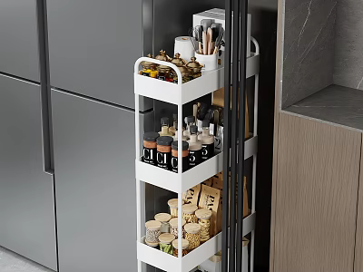 Narrow Kitchen Storage Shelf With Multi Layer For Spices And Food Containers 3d model