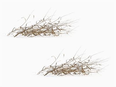 Modern hay 3d model