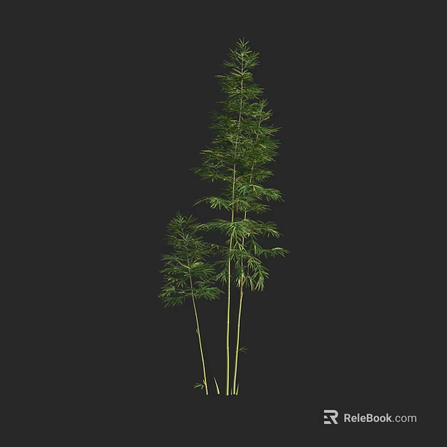 Tall and Short Bamboo Stalks With Lush Green Leaves on Black 3d model 