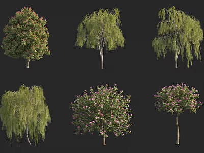 Various Arbor Tree Varieties With Diverse Foliage Shapes And Pink Flowers 3d model