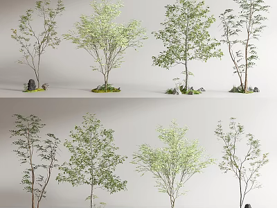 Various Arbor Trees with Lush Green Foliage Trunks and Small Stones at Base 3d model