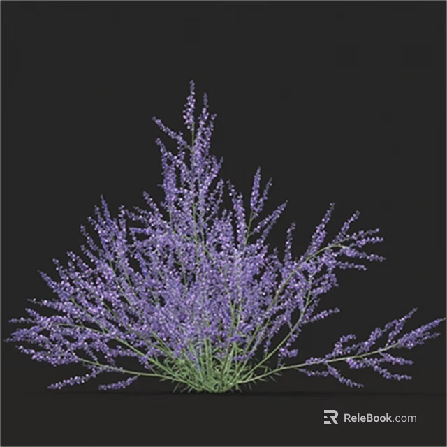 Stunning Purple Lavender Bouquet with Fresh Blooming Flowers on Black Background 3d model 
