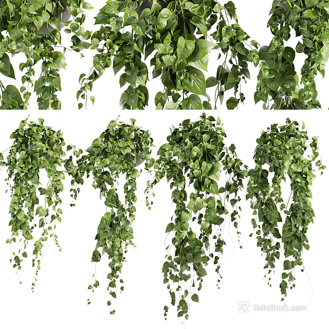 Lush Green Hanging Basket Plants With Trailing Vines And Foliage For Home Decor 3d model 