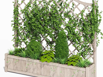 Climbing Vines On Lattice Trellis With Wooden Planter And Green Shrubs 3d model