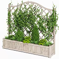 Climbing Vines On Lattice Trellis With Wooden Planter And Green Shrubs