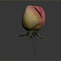 Vibrant Rose with Pink and Yellow Gradient Petals Green Stem and Leaves on Gray Background