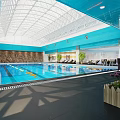 Indoor Swimming Pool With Blue Water Lounge Area Natural Light And Green Plants