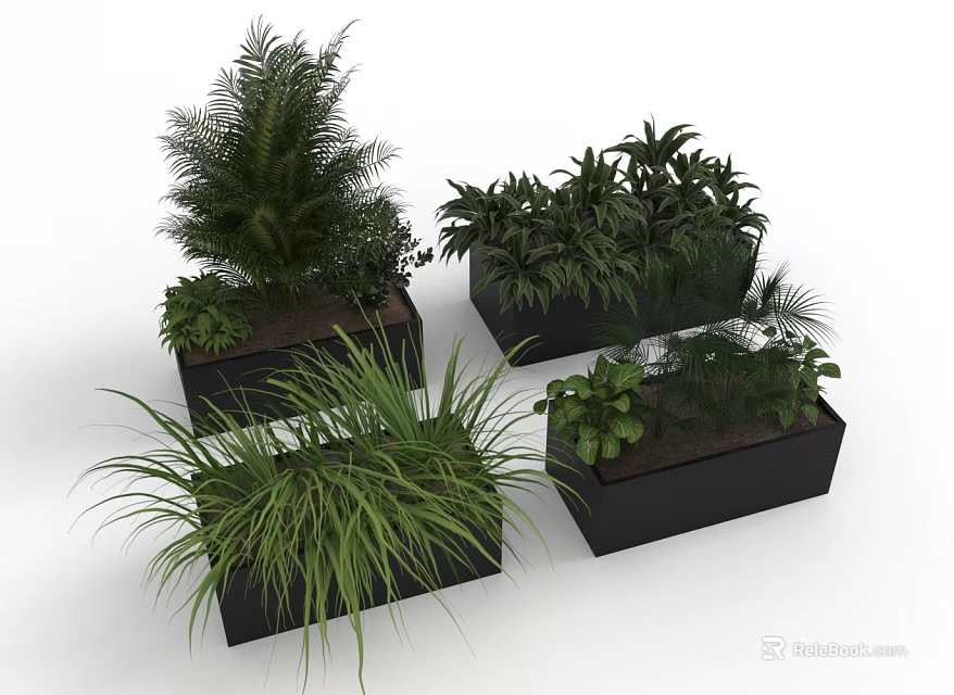Assorted Green Potted Plants In Black Rectangular Planters For Indoor Decor 3d model 