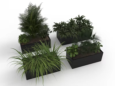 Assorted Green Potted Plants In Black Rectangular Planters For Indoor Decor 3d model