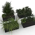Assorted Green Potted Plants In Black Rectangular Planters For Indoor Decor 3d model