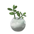 Decorative Ceramic Vessel with Sand Green Plants and Small Green Balls for Home Decoration
